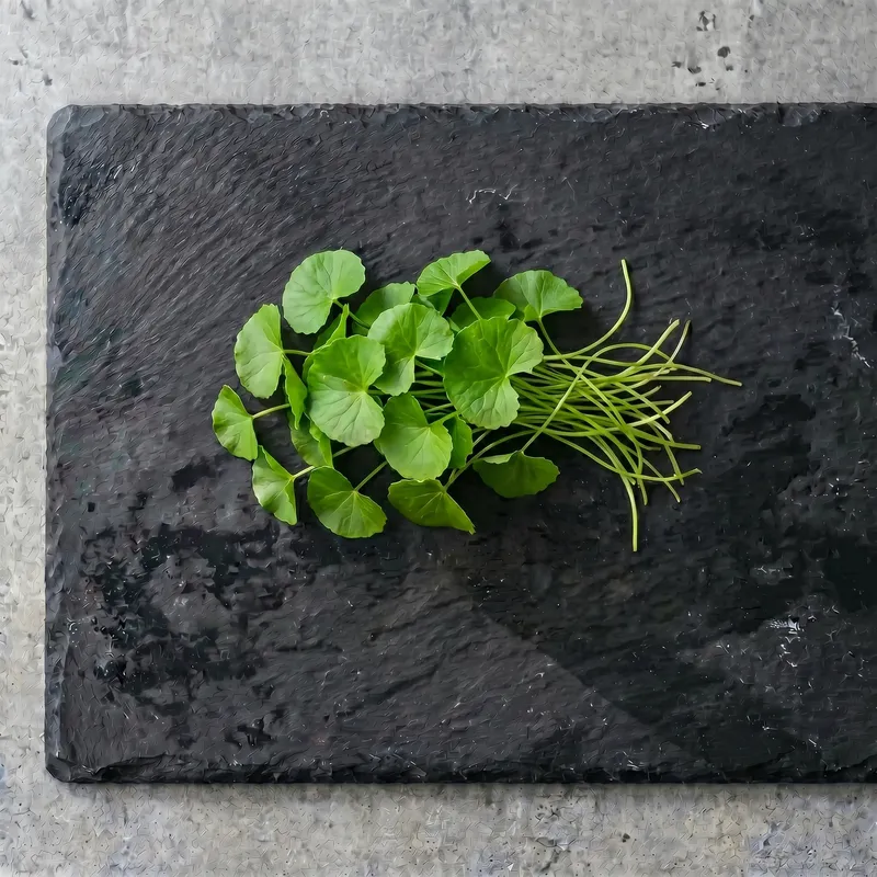 Centella Asiática